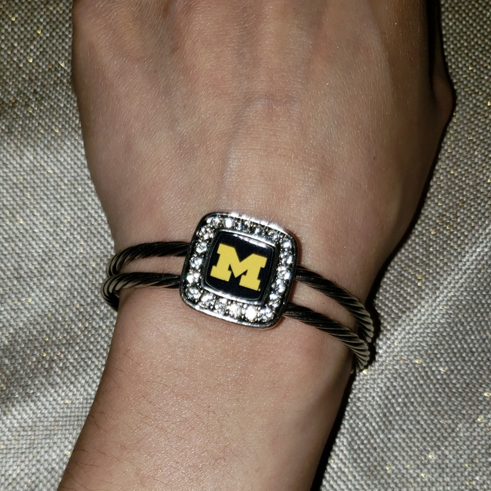 ππ University Of Michigan Wolverines Fan Bundle - Picture 9 of 10